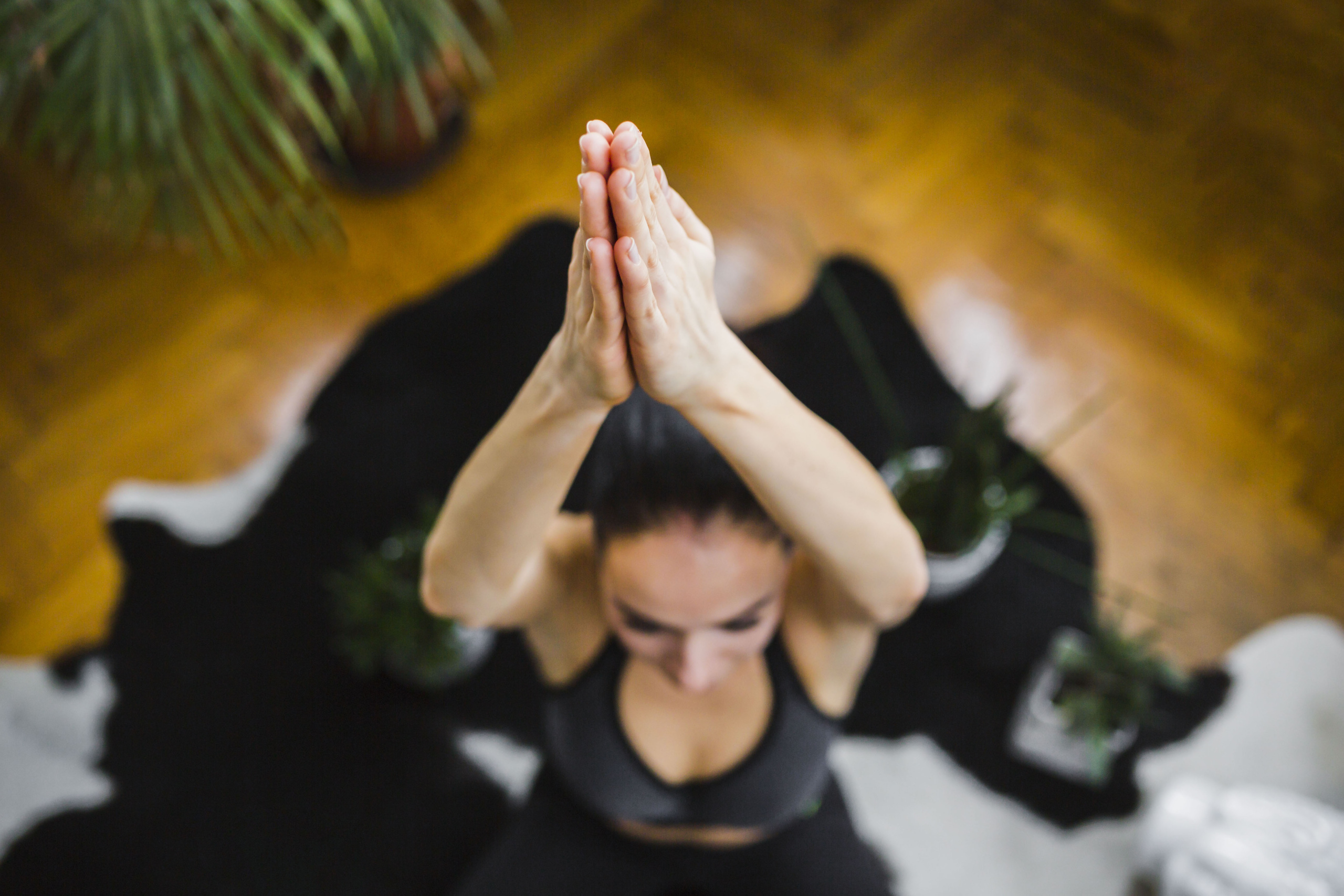 Therapeutic Yoga as Neurobiological Medicine